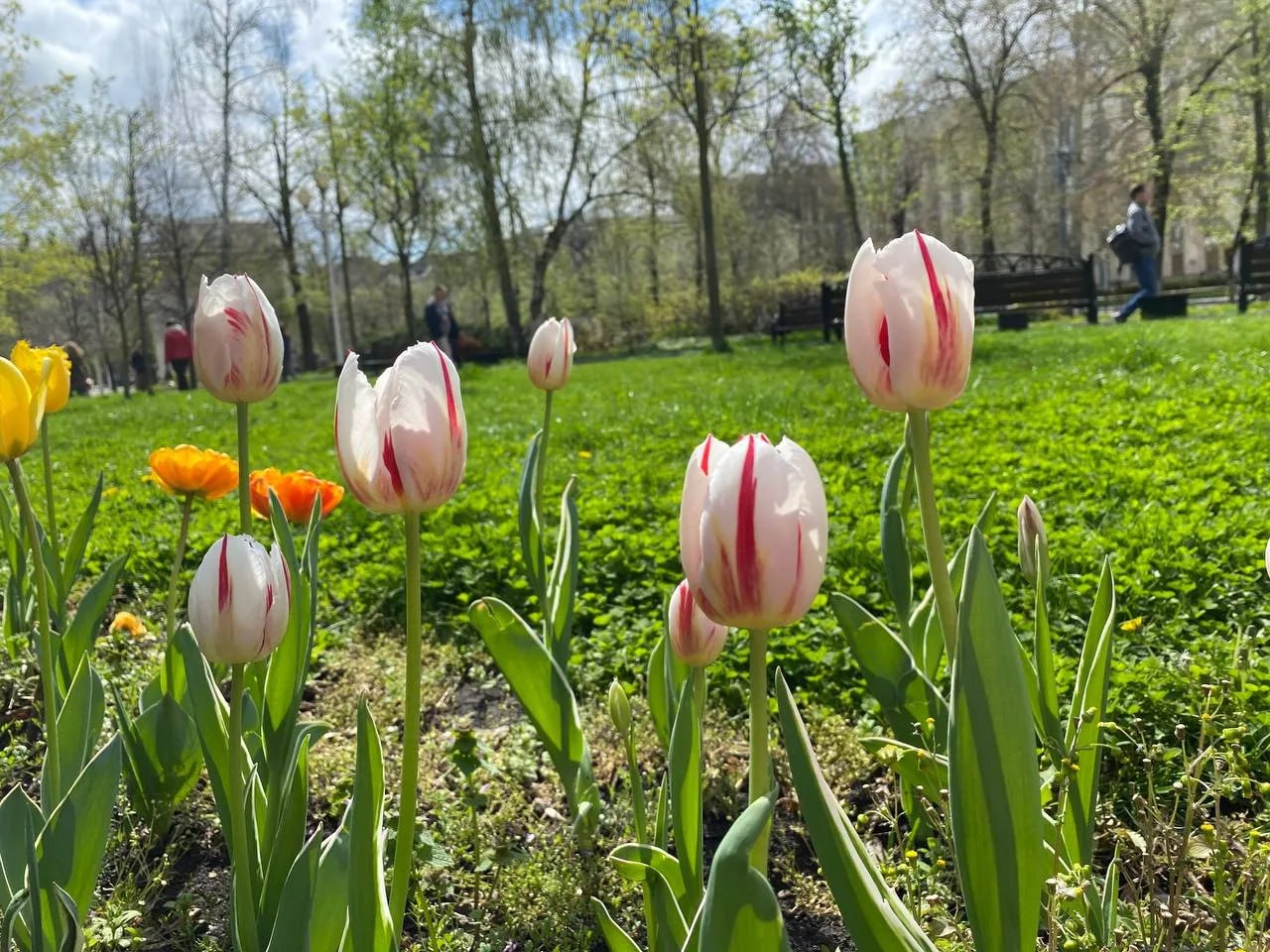 Весна начнется с подарков: в марте нас ждут длинные выходные!