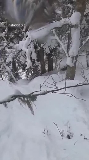 ������������ ���������� �� ������� � ���������� � ����� ��������