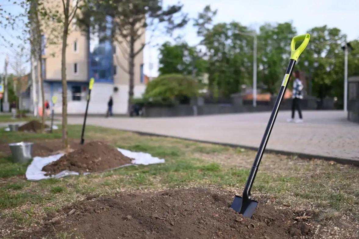 До конца апреля в Краснодаре планируют выполнить компенсационное озеленение До конца апреля в Краснодаре планируют выполнить компенсационное озеленение