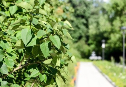 � ���������� �������� ��� ����� ����