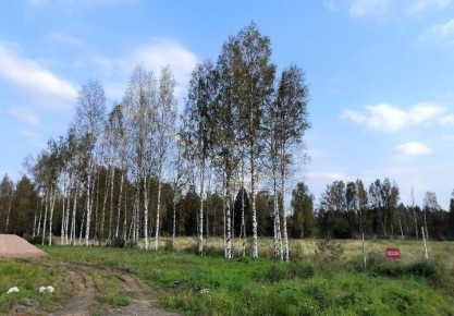 Есть и хорошие новости сегодня: в Краснодарском крае наконец-то наступила погода, которая скорее напоминает конец марта, чем начало месяца