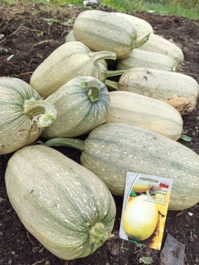 ������� ��������: ��� ��������� �������� ����� � ����� �������