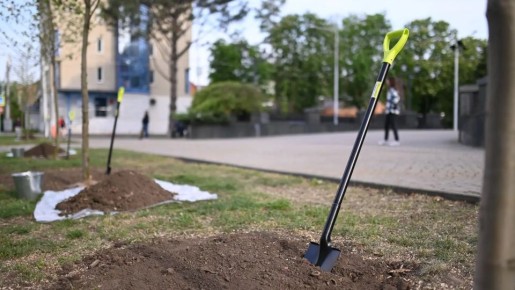 � ���������� ��������������� ���������� �������� �� ������� ����������