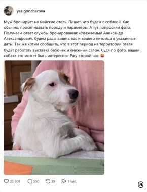 Настолько интеллигентен, что готов пойти на выставку бабочек