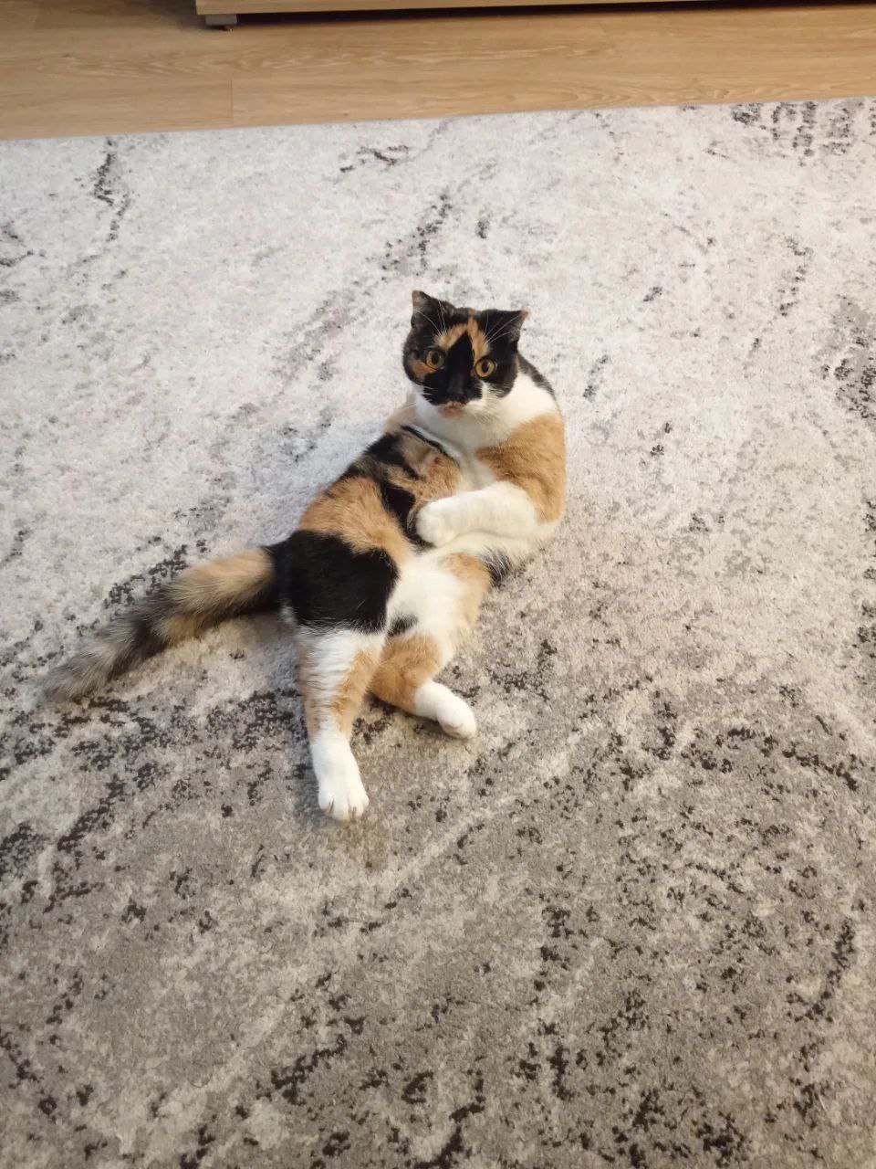 О погоде на 2 марта . В Краснодарском крае переменная облачность О погоде на 2 марта . В Краснодарском крае переменная облачность