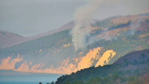 Лес загорелся в районе Архипо-Осиповки