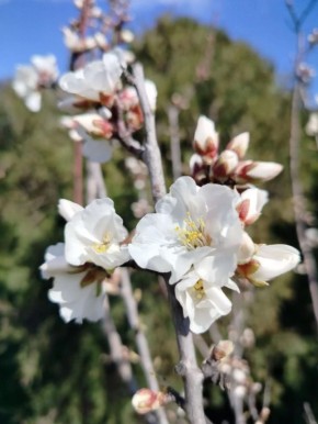 ���������� ����� ������� � �����