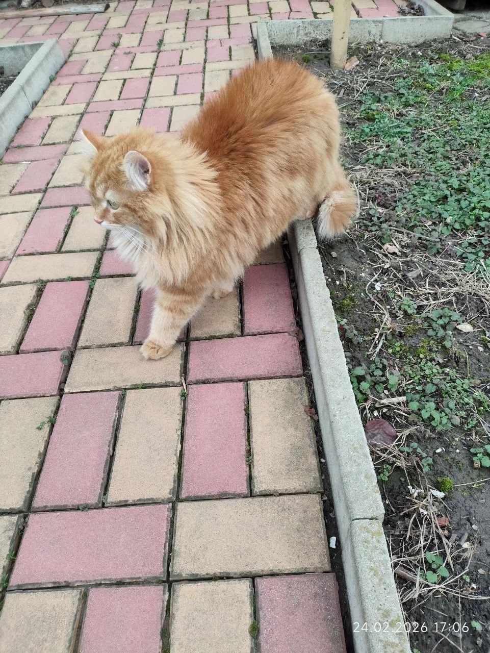 О погоде на 2 марта . В Краснодарском крае переменная облачность О погоде на 2 марта . В Краснодарском крае переменная облачность