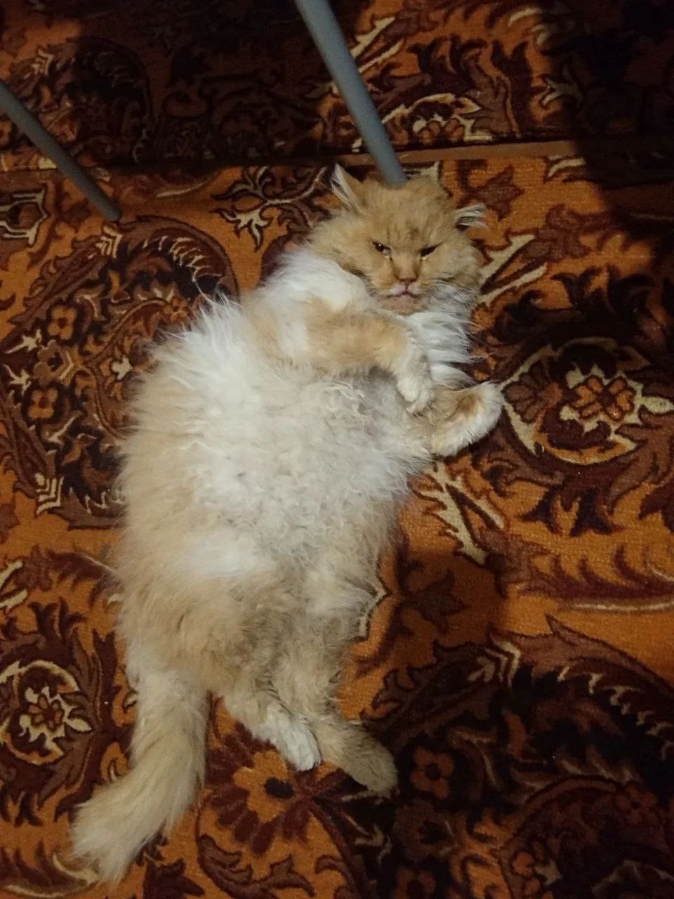 О погоде на 2 марта . В Краснодарском крае переменная облачность О погоде на 2 марта . В Краснодарском крае переменная облачность