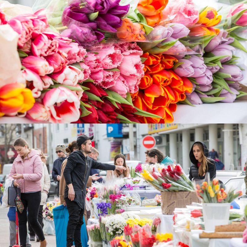 27 ��������� ������� ��������� � ����� � ���������� �������������� �������� ���