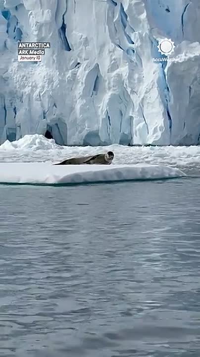 Доброе утро, папочка! Ой, простите, обознались!