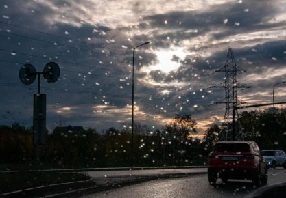 8 Какая погода будет на 8 марта в Краснодарском крае? Впереди 3 выходных и короткая рабочая неделя