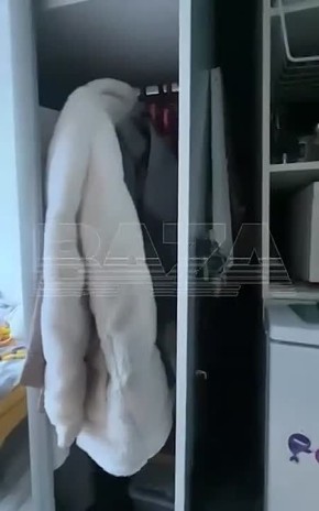 Землетрясение ощутили жители Сочи и ближайших территорий