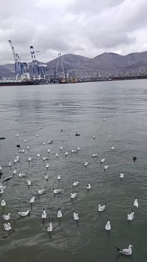 На первый-второй рассчитайсь!