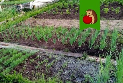 ��������� ���� ������ � ����������� � ����� ������������� ������