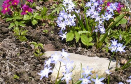 ����������: ����������� ����� � ����� ����