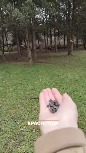 ������ ������� � ����������