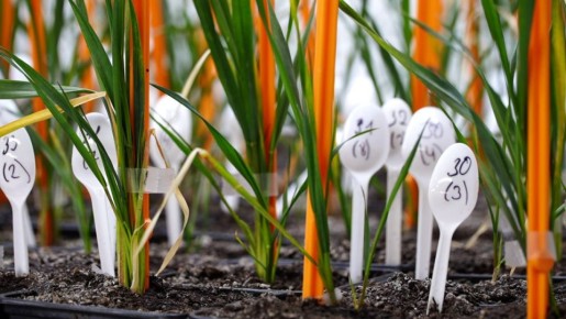 �� ������ �������� �������� �������� ��������