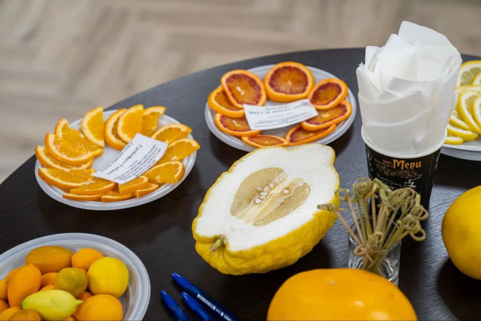 � ���� ���������� ����������� ���������� ��������� ���������� �������