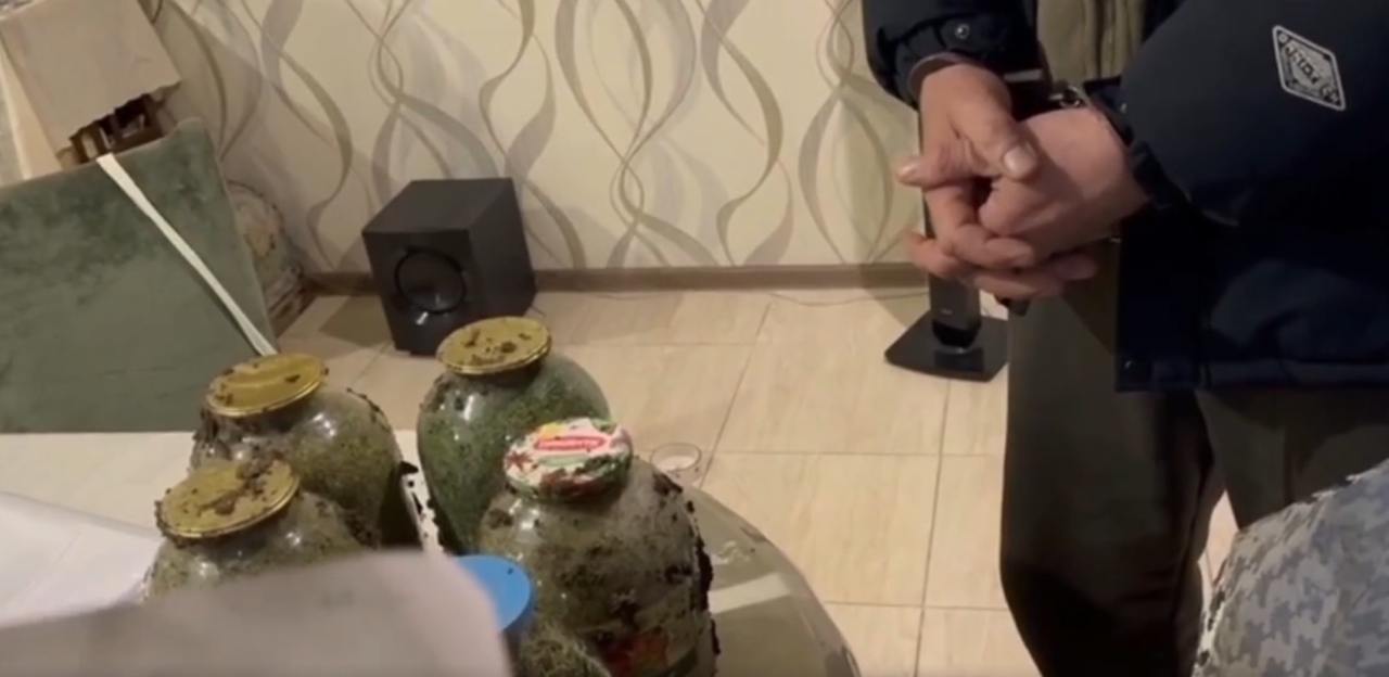 Собачий нюх против запрещенных заначек: в Новороссийске служебный пес нашел схрон с двумя килограммами марихуаны