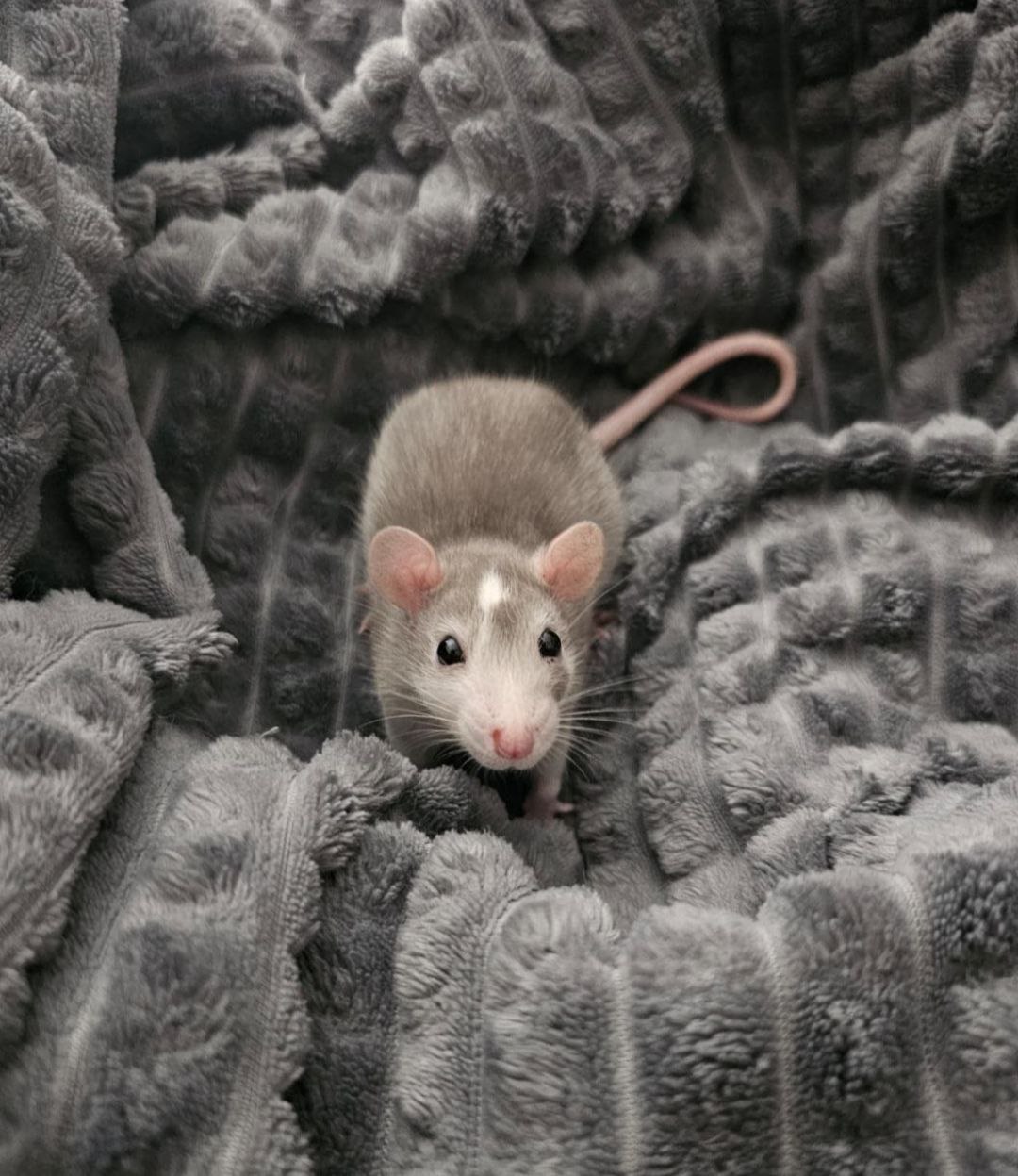 Доброе утро, Кубань!. Краснодар +6 °С Доброе утро, Кубань!. Краснодар +6 °С