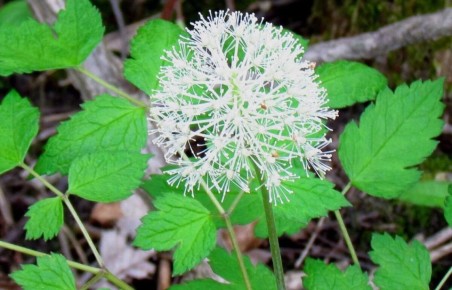 ������������ ��������� ������: ������� ��������� �������