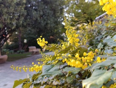 ������ ����, ������� ����!