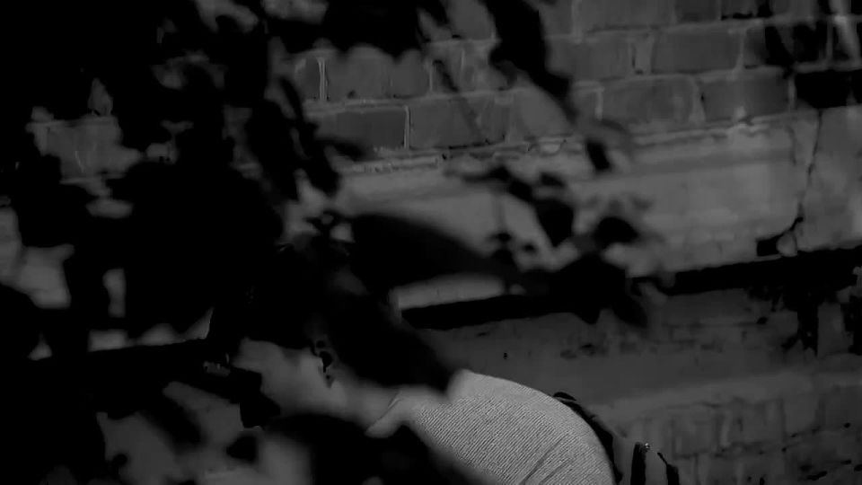 ���� �����. ����� ���������� �����