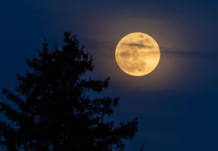 Овны продвинутся по карьерной лестнице, а Тельцов ждут выгодные предложения