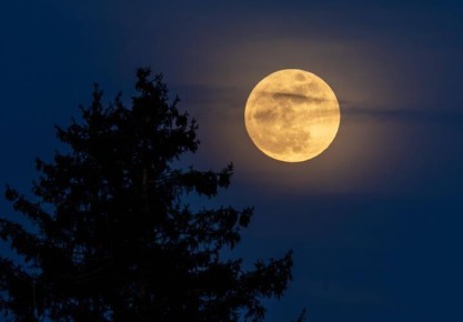 ���� ����������� �� ��������� ��������, � ������� ���� �������� �����������