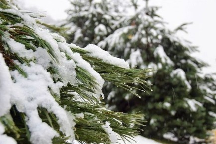 �� ����� ����� � ����� ���� ��������� ������� ��������