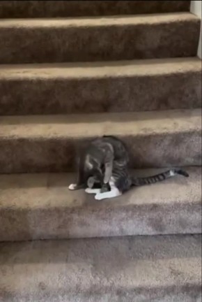 ��� ����� � ������� ���������� �� ������