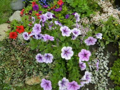 ��� ������� ��� ������� � ������ �����