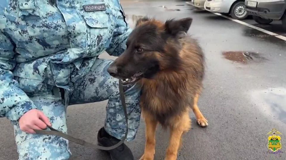 �� ����� ������� �������!. ��������� ���, ����� ����� ��������� � ������ ������� � ������������� ������, ���� ��������� �����������