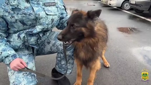 ������� ���, �� ����� ������