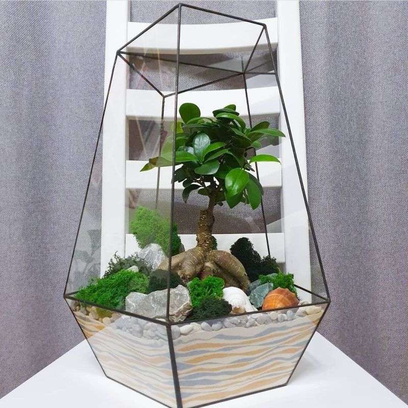 ���������� ���� ��������� �������� ��� ������� �������