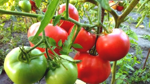 ������, ������� ������ ���� ��������: 11 ������������ ������ ��� ������ �������