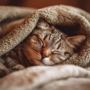 ������� ���������� ��������� �������� ������������ � ���� ������� ������