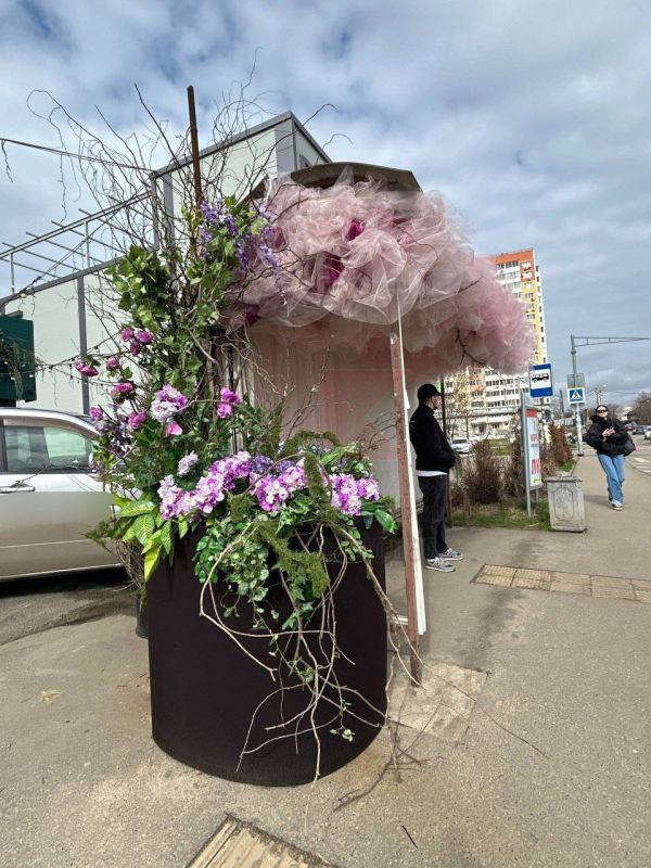 В Краснодаре запечатлели одну из самых романтичных остановок