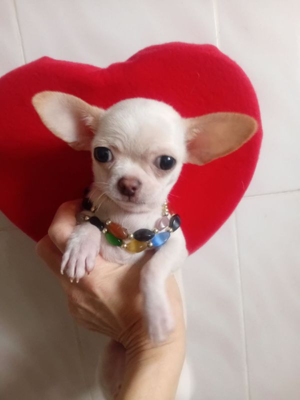 Доброе утро, Кубань!. Краснодар +7 °С