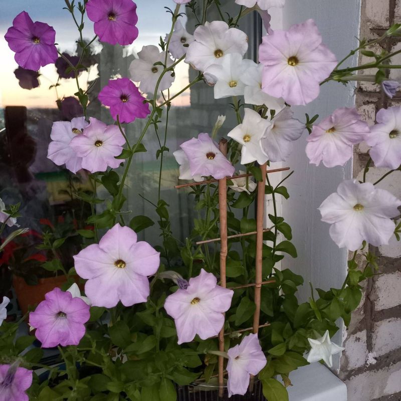 О погоде на 9 марта. В Краснодарском крае небольшая облачность О погоде на 9 марта. В Краснодарском крае небольшая облачность