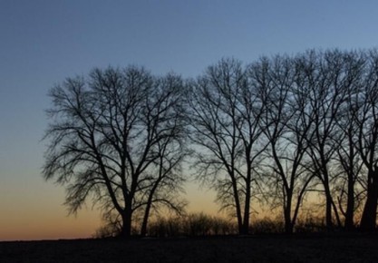 ��� ���������, ���� �� �����