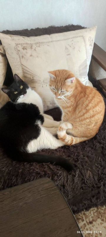 О погоде на 9 марта. В Краснодарском крае небольшая облачность О погоде на 9 марта. В Краснодарском крае небольшая облачность