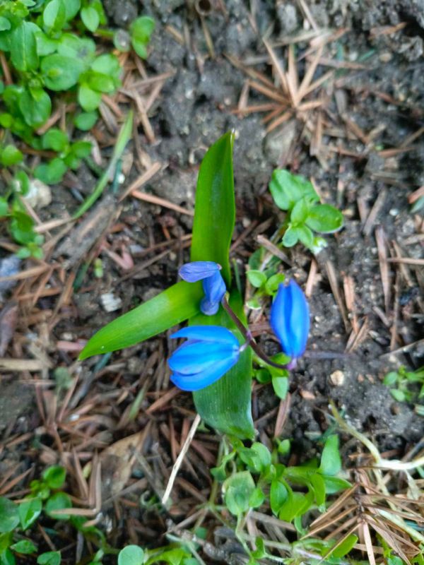 О погоде на 9 марта. В Краснодарском крае небольшая облачность О погоде на 9 марта. В Краснодарском крае небольшая облачность