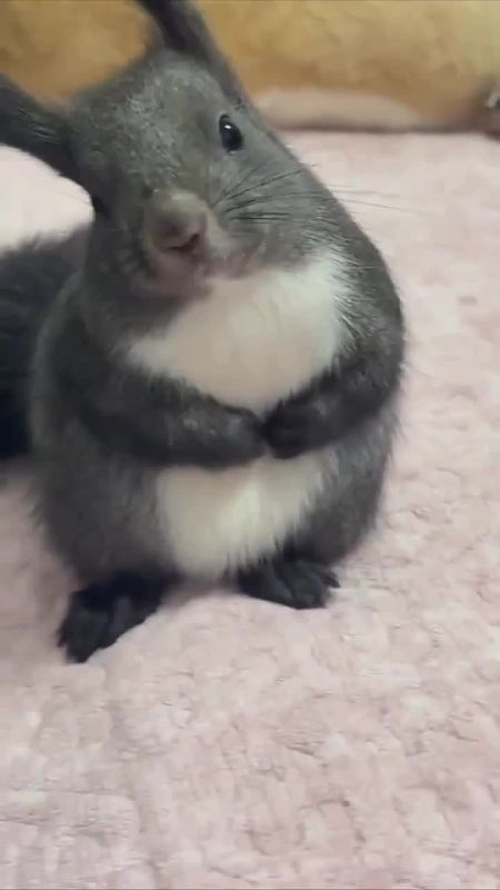 � ��� ������ �������. �� ���������, ��� ���������