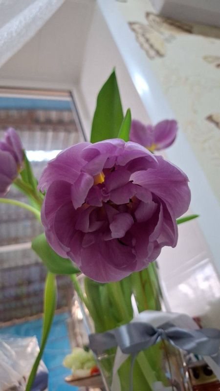 О погоде на 9 марта. В Краснодарском крае небольшая облачность О погоде на 9 марта. В Краснодарском крае небольшая облачность