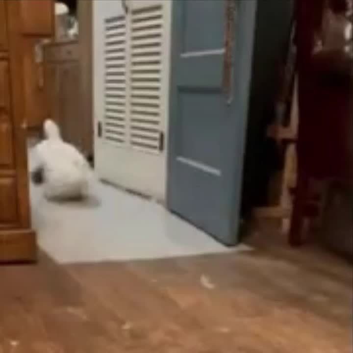 ��������� ����� �������, �� �������� ����� ��������� ������������