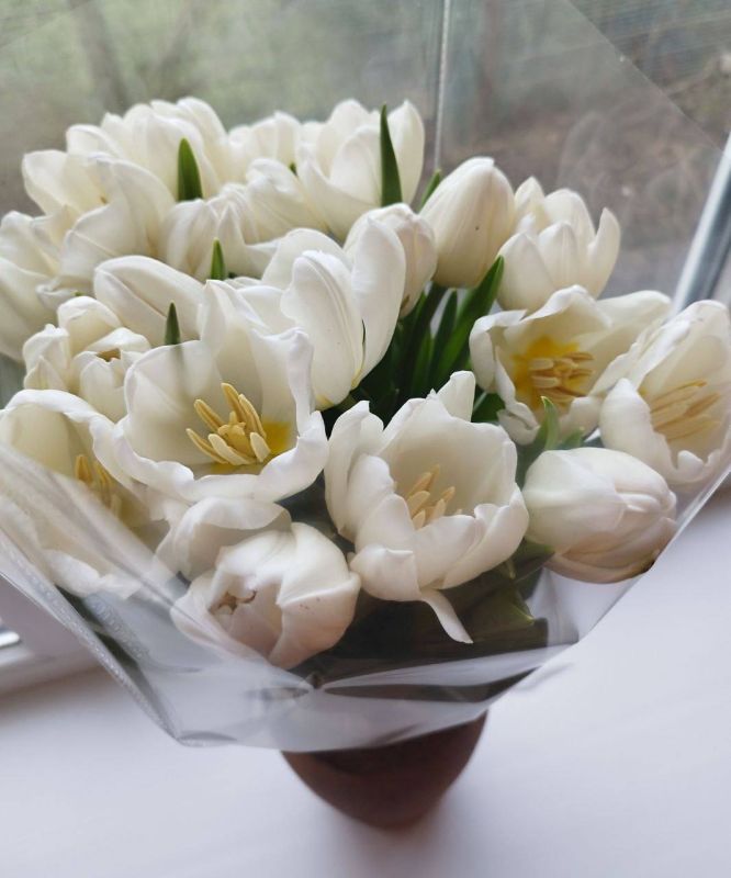 О погоде на 9 марта. В Краснодарском крае небольшая облачность О погоде на 9 марта. В Краснодарском крае небольшая облачность