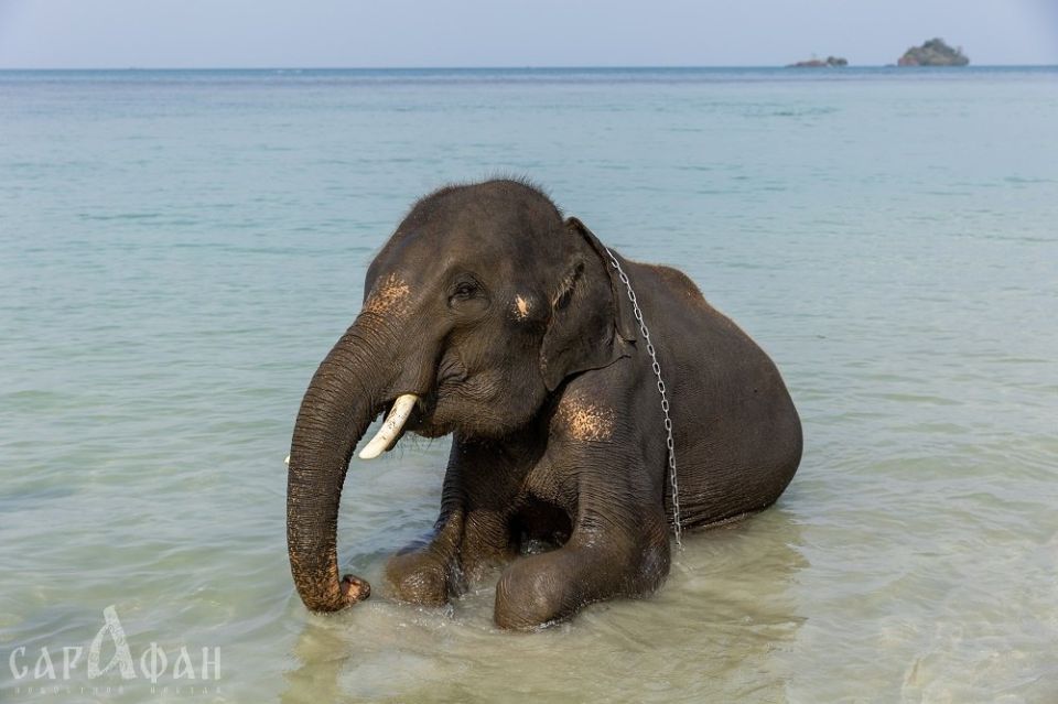 На Таманском полуострове разворачивается драма