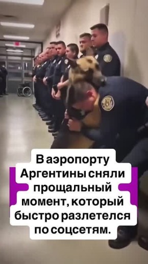 � ��������� ��������� ����� ���������� ������, ������� ������ ���������� �� ��������